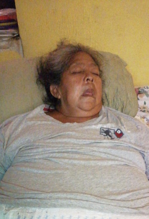 Mother of Dogny
                  Gerson Mej�a Aguilar