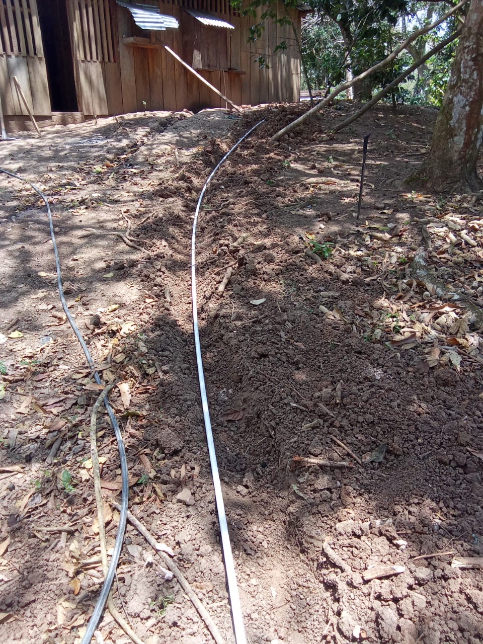 Pipes to carry water